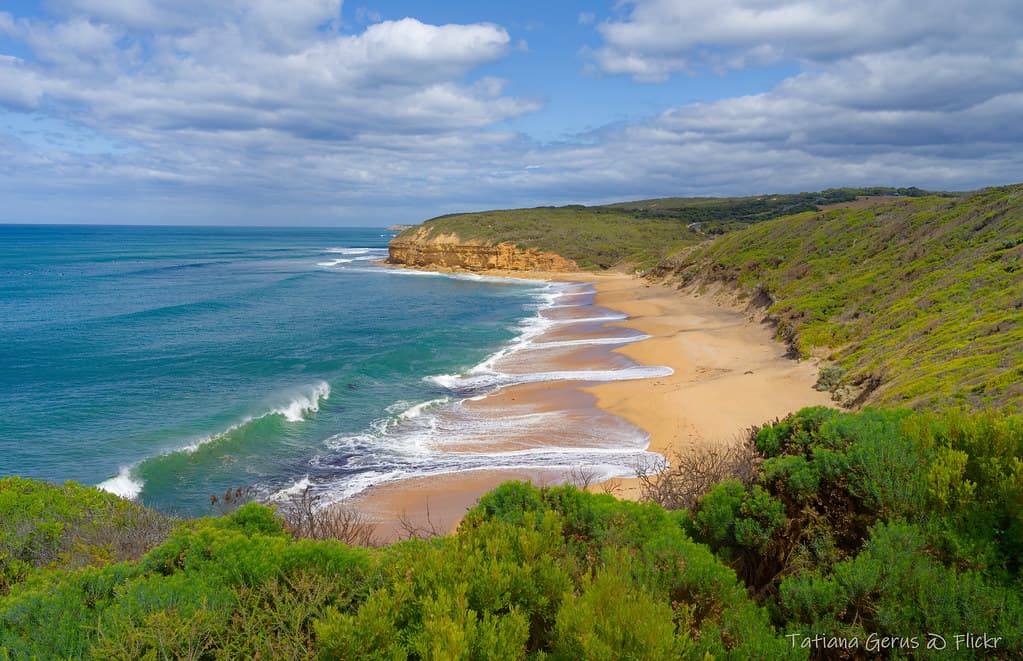 Curl Curl Beach
