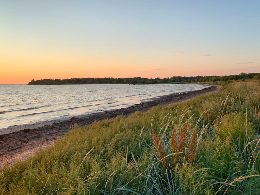 Neeme Beach