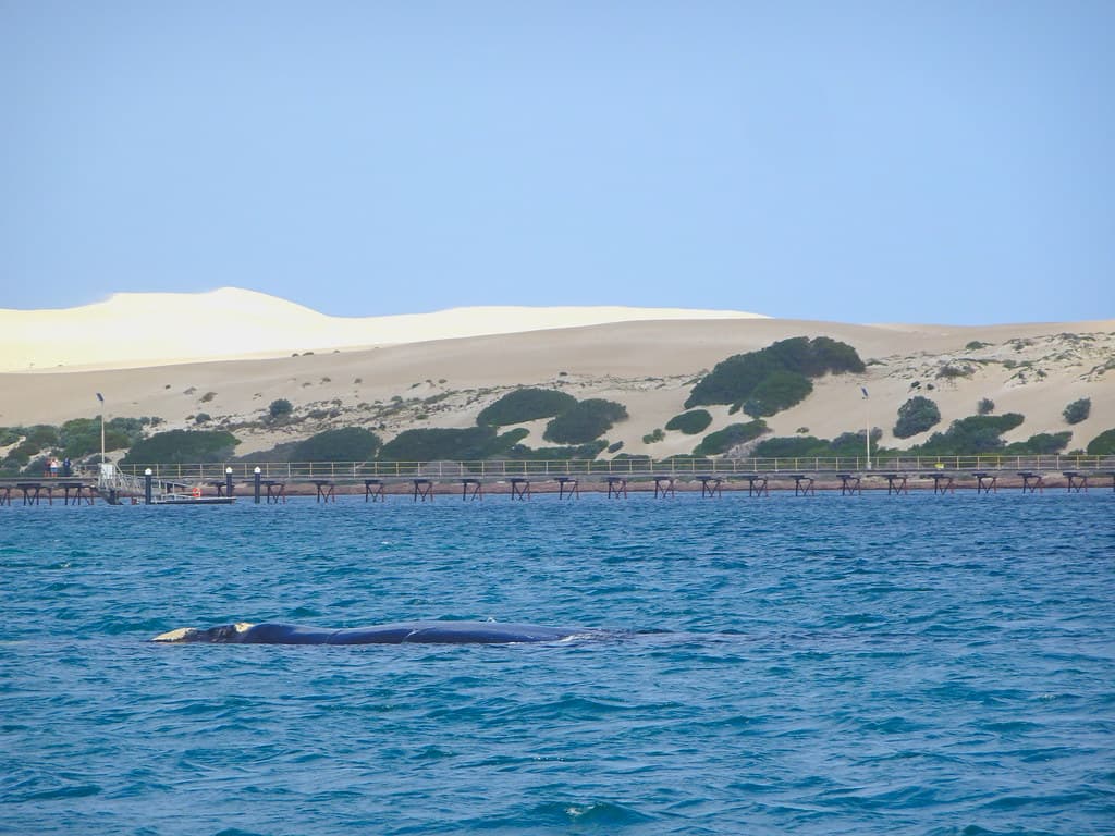 Grassy Head Beach view 3