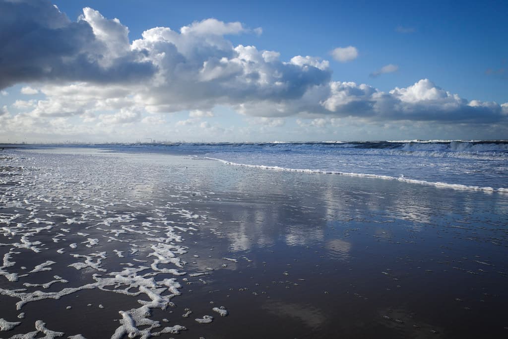 Hoek van Holland North Beach