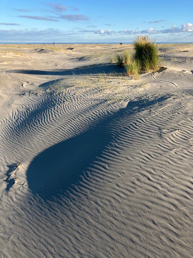 Hidden East Dunes — photo by Capturing Silence - Erik Bethlehem