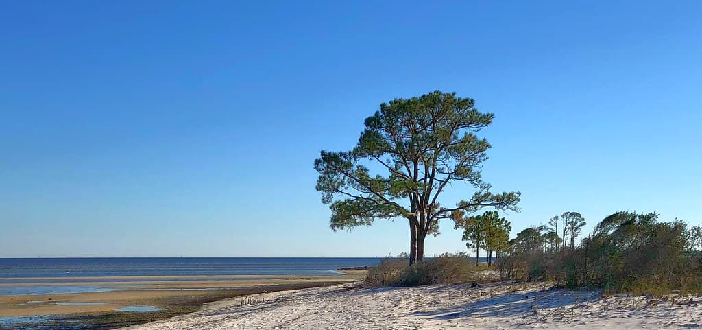 Mashes Sands Beach view 2