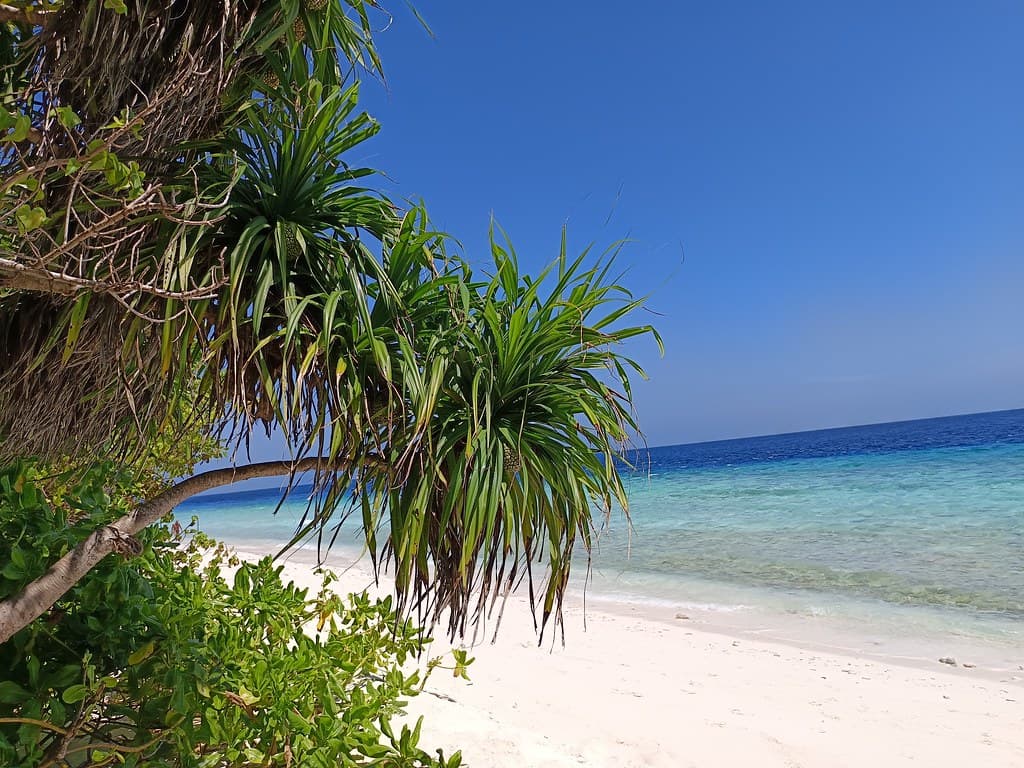 Ukulhas Lagoon Edge view 2