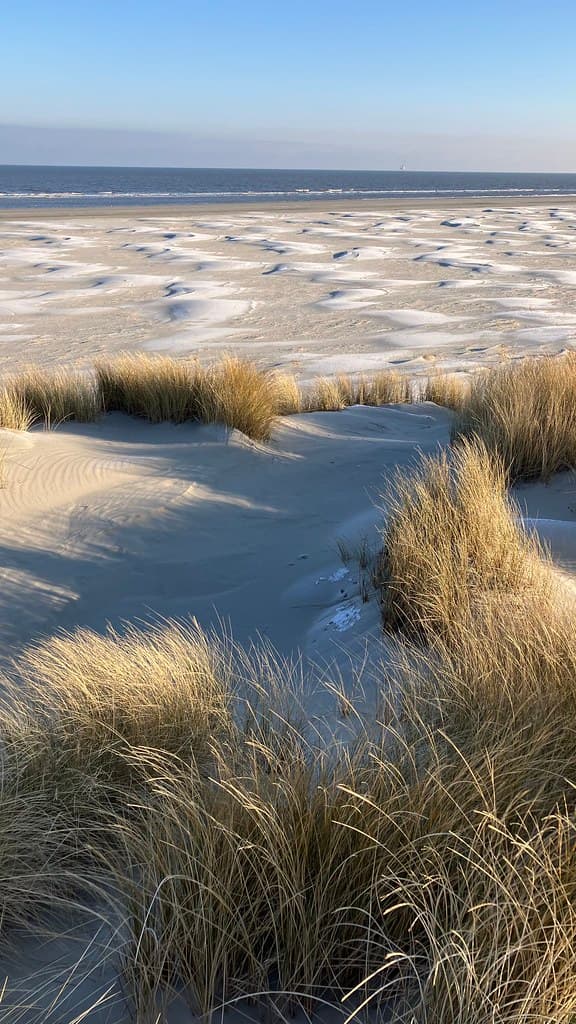 Hidden East Dunes view 2