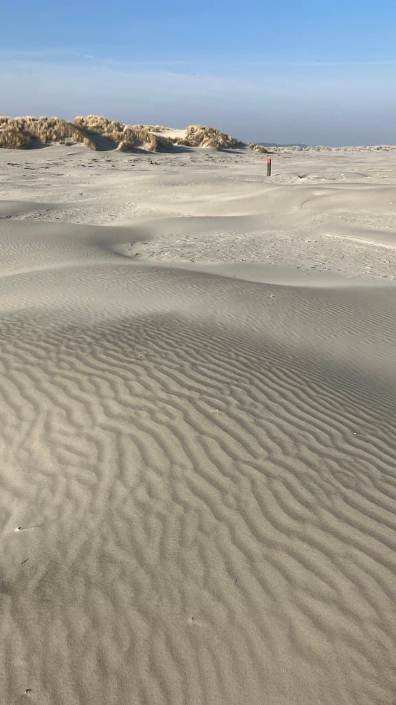 Hidden East Dunes — photo by Capturing Silence - Erik Bethlehem