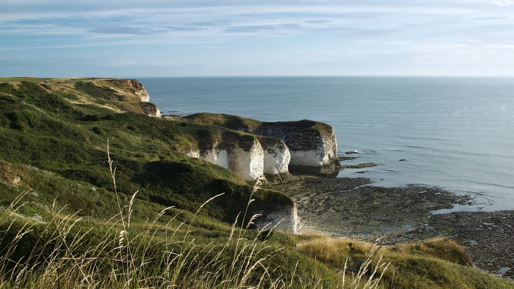 Selwicks Bay
