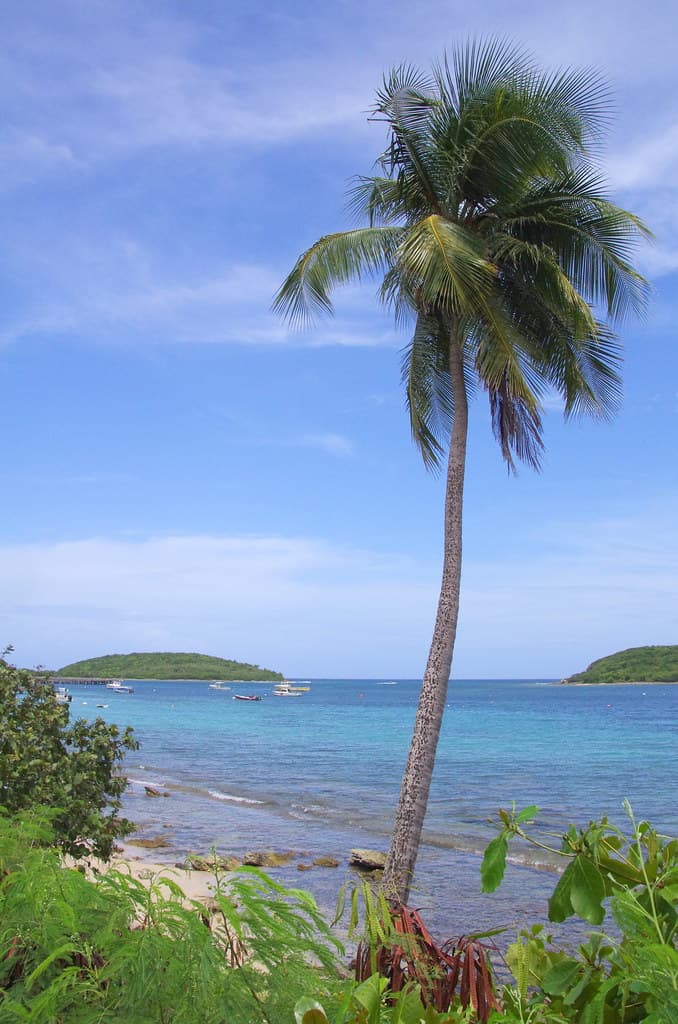 Playa Grande Beach view 2