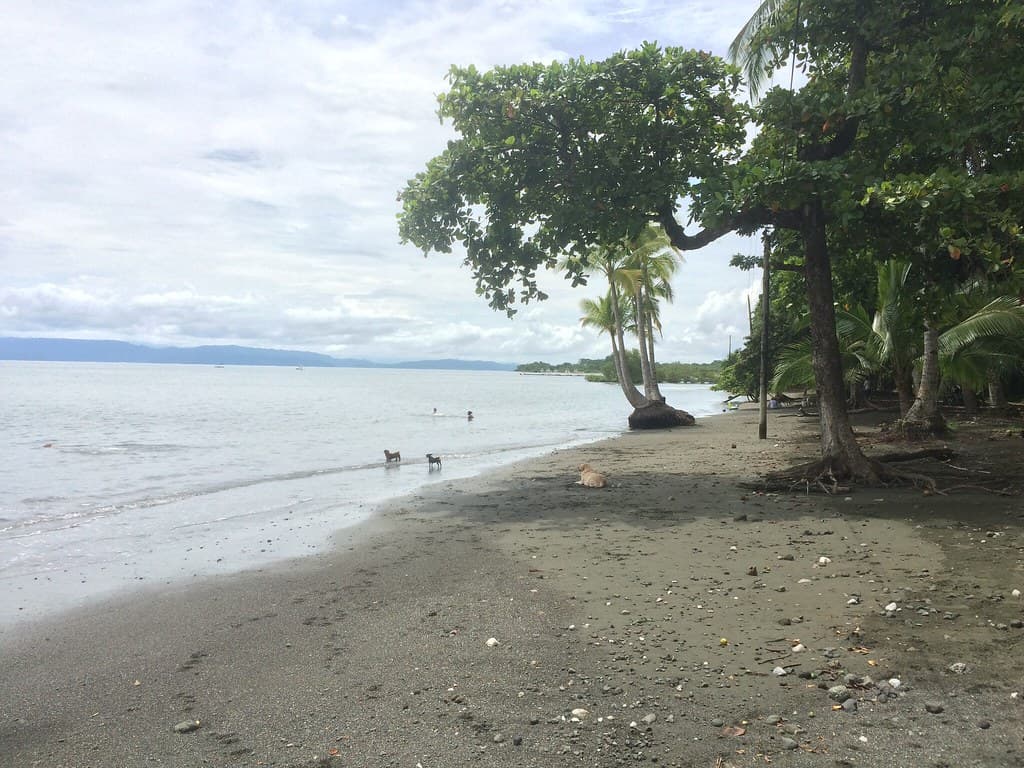 Playa Pejeperro view 2
