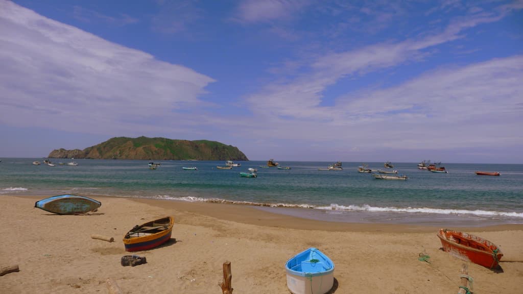 Playa Piqueros