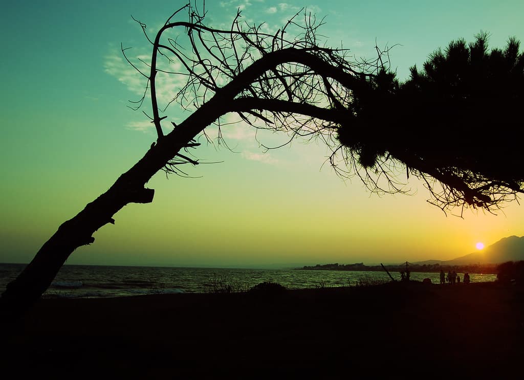 Playa de Guadalmansa view 2