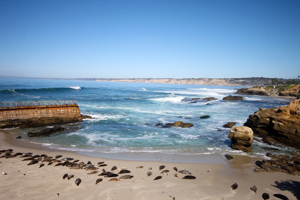 La Jolla Shores view 2