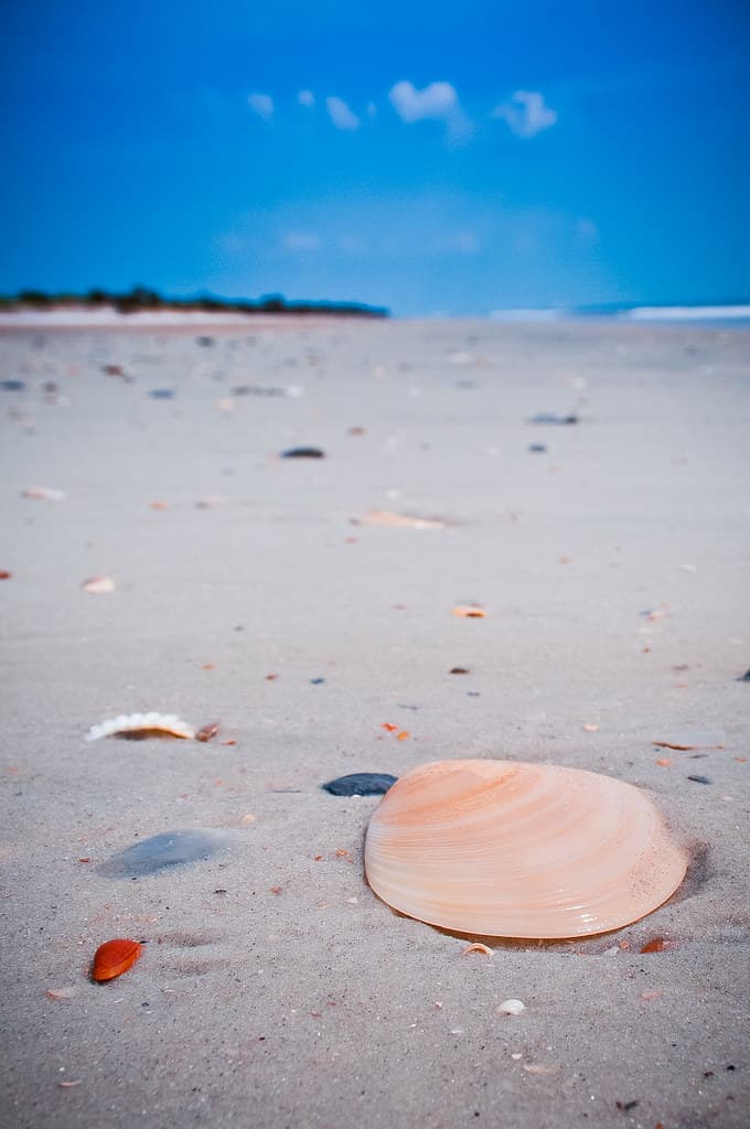 Little Talbot Island Beach view 2