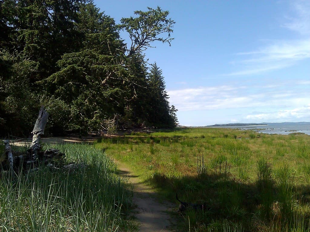 Leadbetter Point Beach