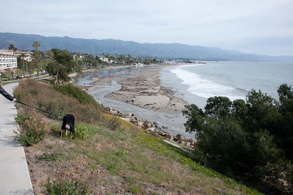 Leadbetter Point Beach view 3