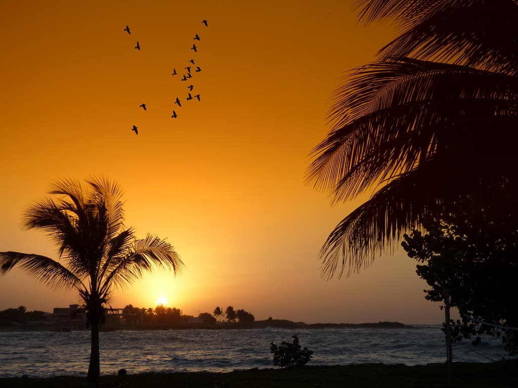 Playa Celimar view 3