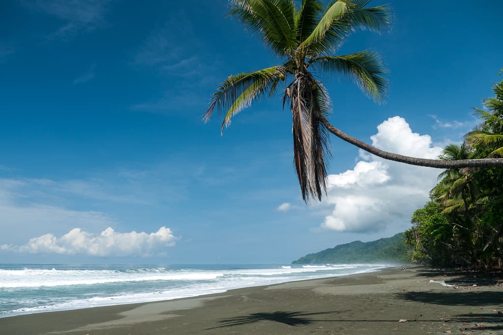 Playa La Leona