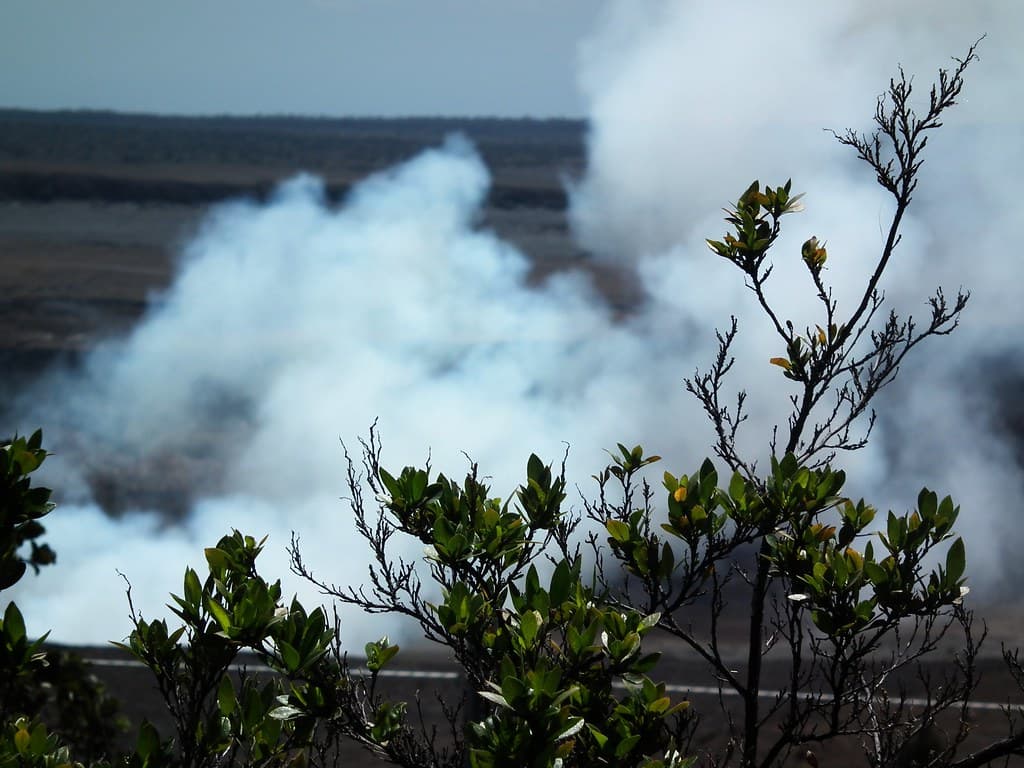 Hawaii Big Island Kona Hilo 371