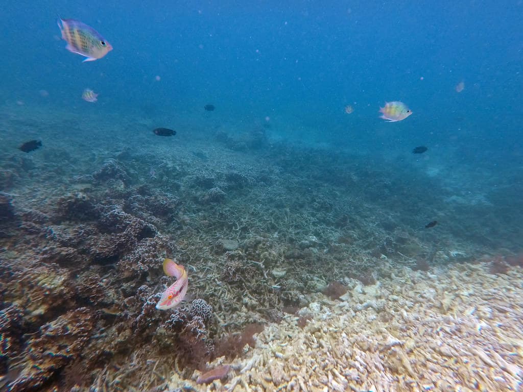 Mantanani Island Beach view 2