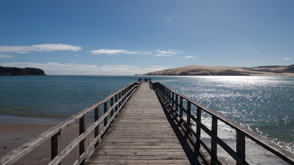 Waiotemarama Gorge Beach