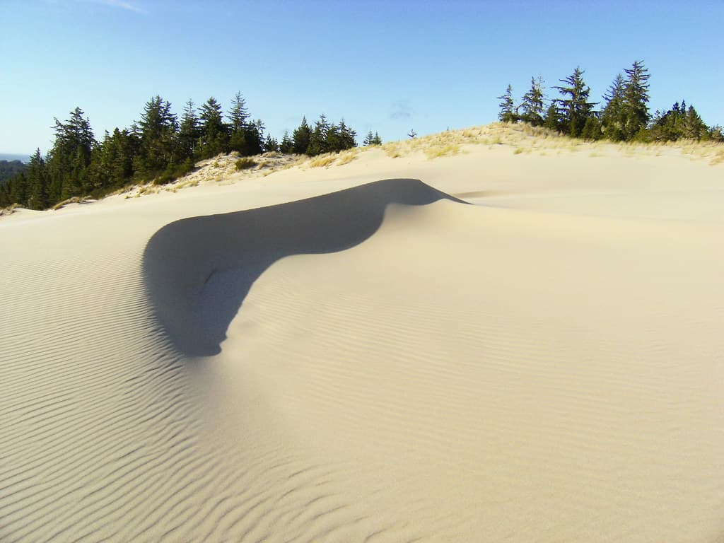 Oregon Dunes Beach