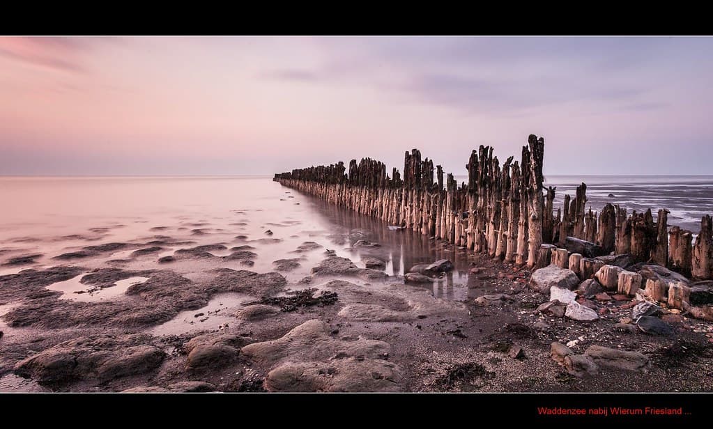 Ternaard Wadden Shore