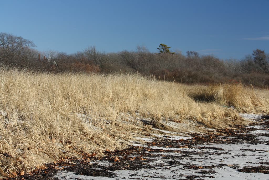 Kettle Cove Beach view 3