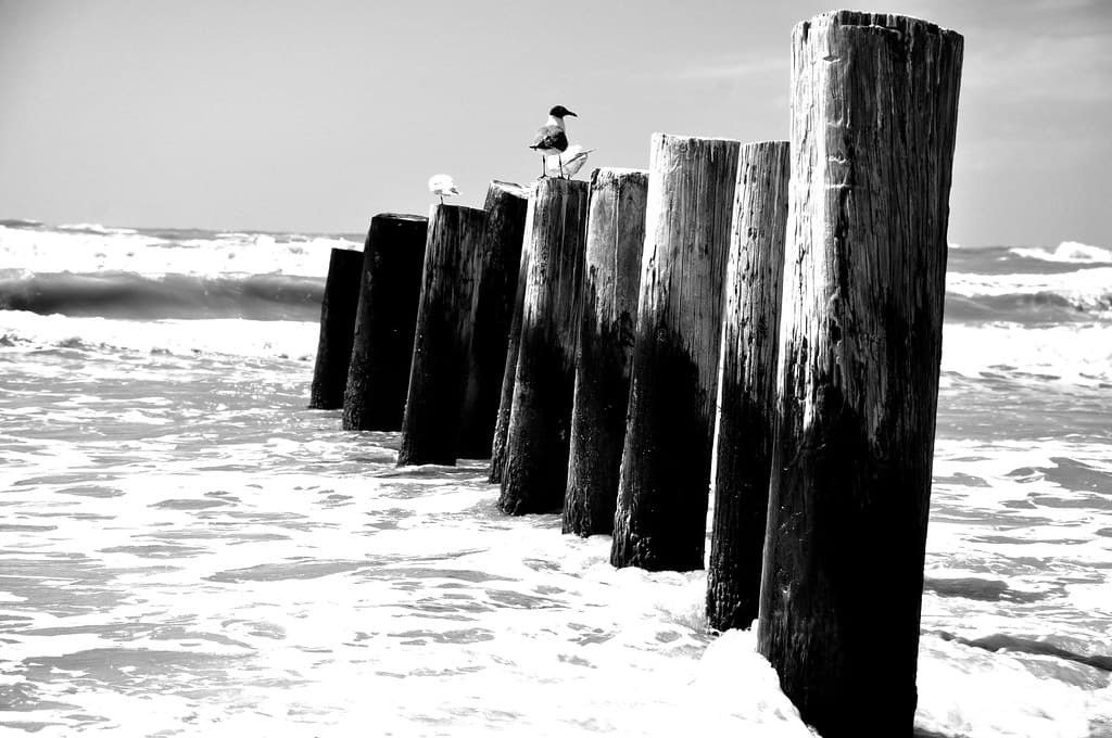 South Padre Dunes Beach view 3