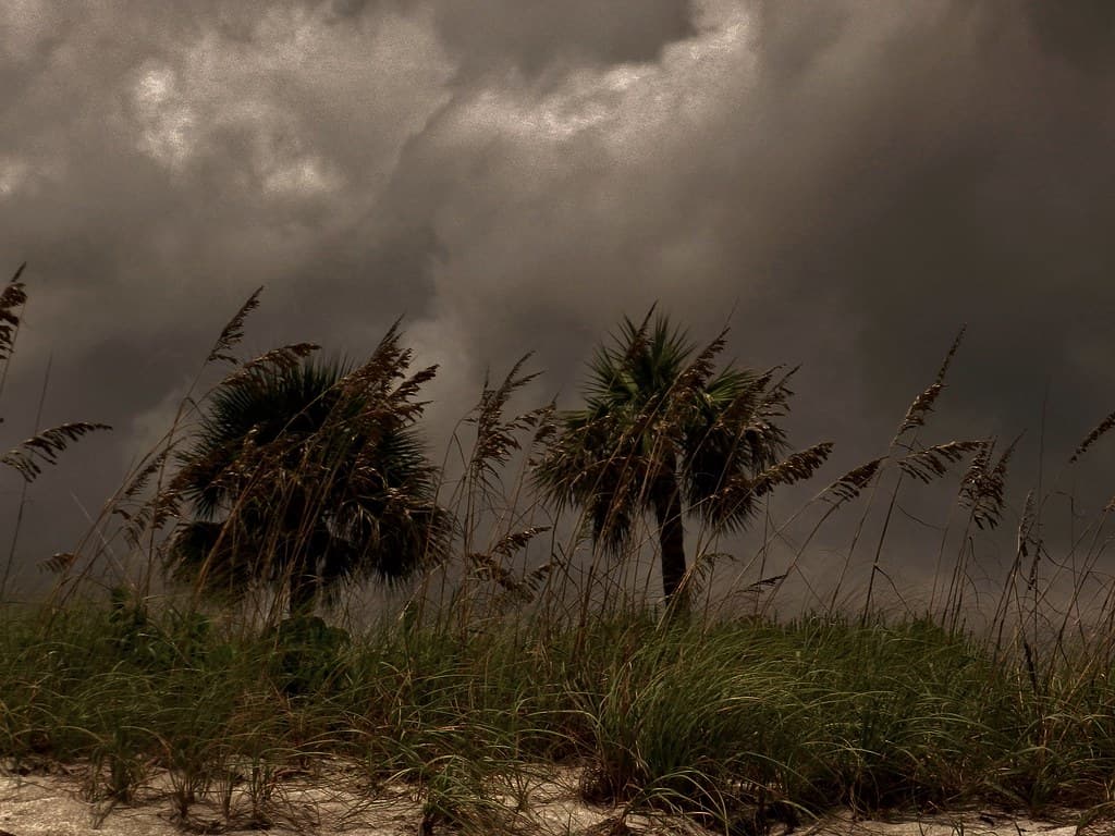 Jensen Beach
