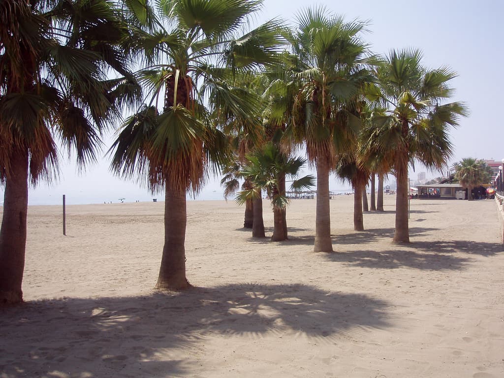 Playa del Padrón