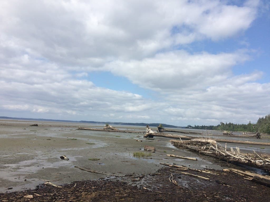 Kumdis River Beach