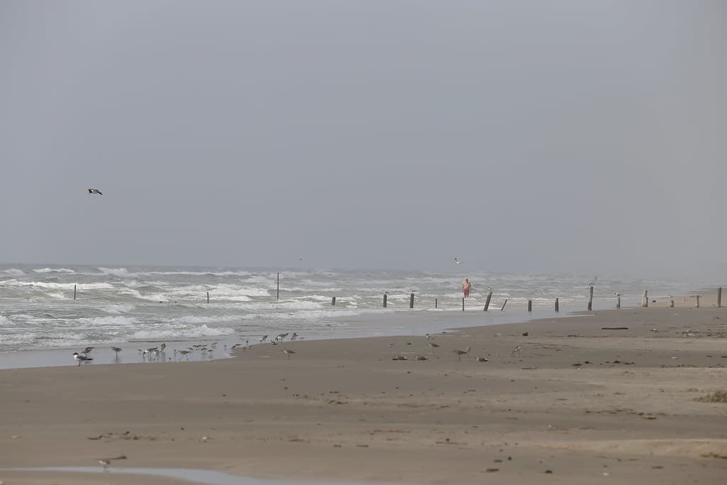 Mustang Island State Park Beach view 2