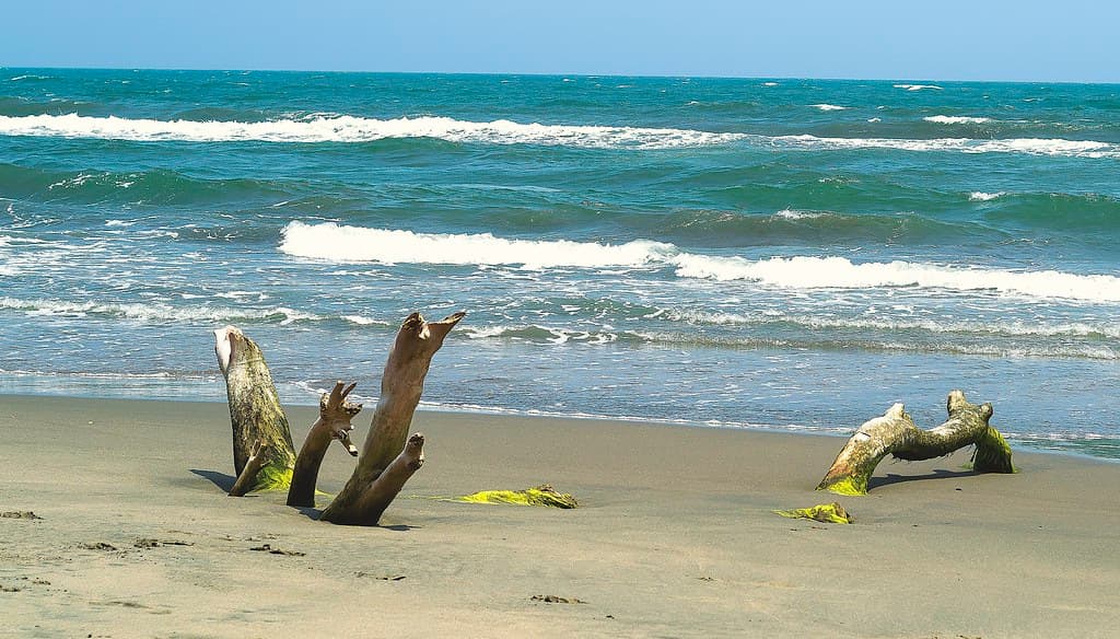 Playa San Vicente