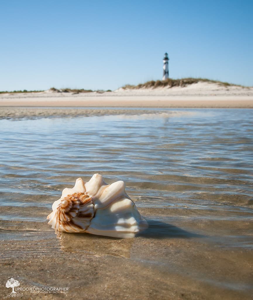 ...On the Seashore | Cape Lookout, NC