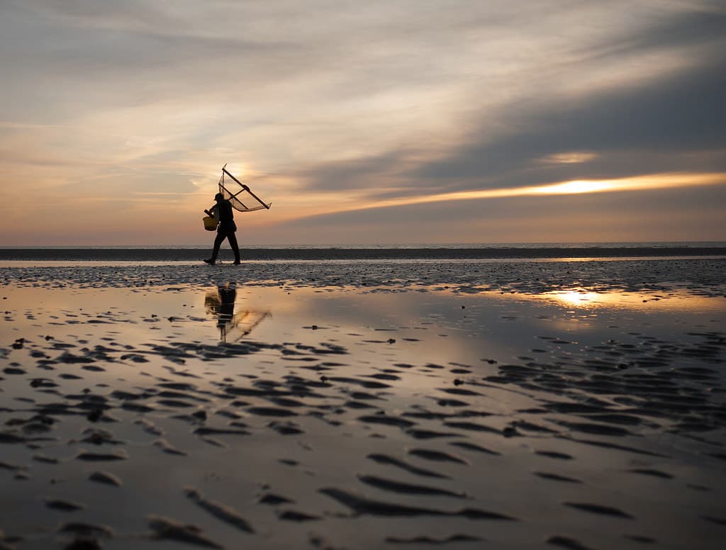 Plage de Cayeux-sur-Mer view 2