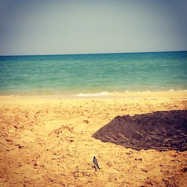 Beach 15