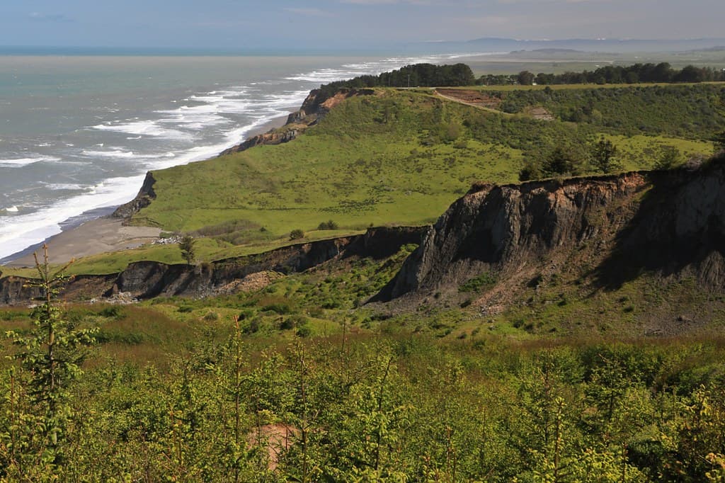 Eureka Sound Beach view 3