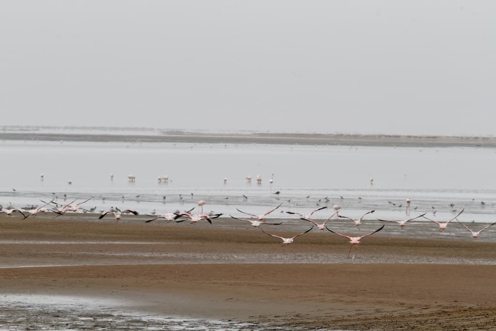 Rooibank Coast Beach