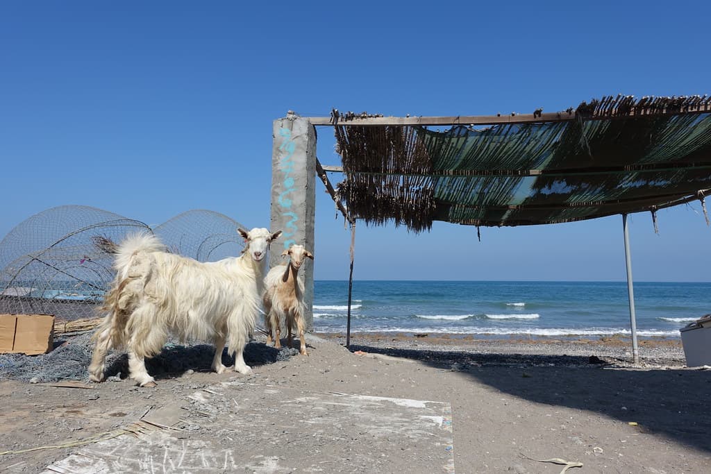 Al Suwaiq Beach