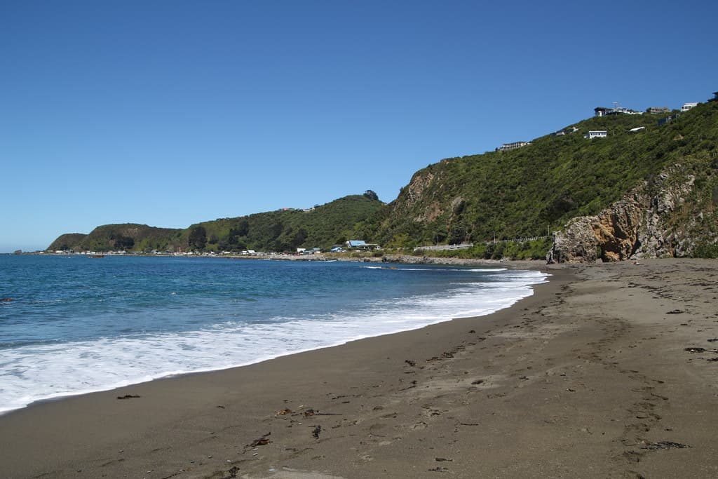 Moa Point Beach