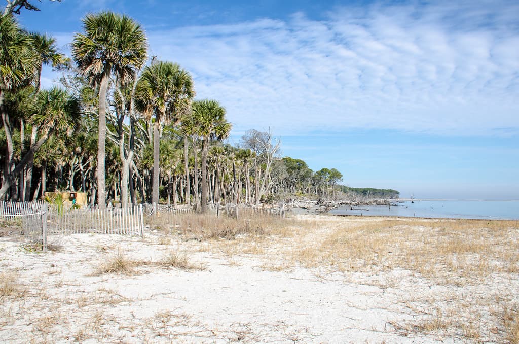 Carolina Beach State Park Shore view 3