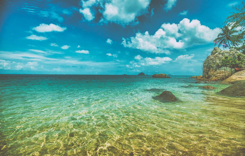 Coral Beach view 3