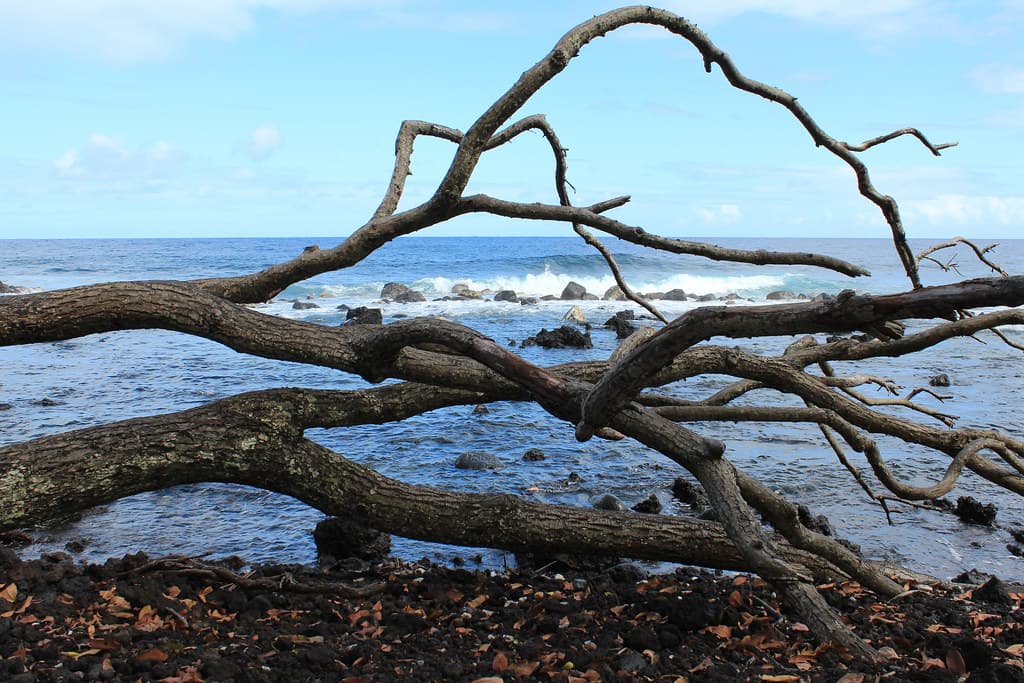 Mauna Kea Beach