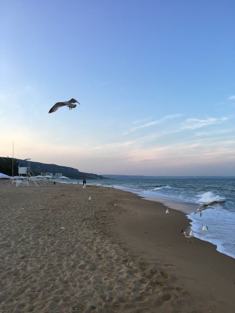 Golden Sands Beach view 2