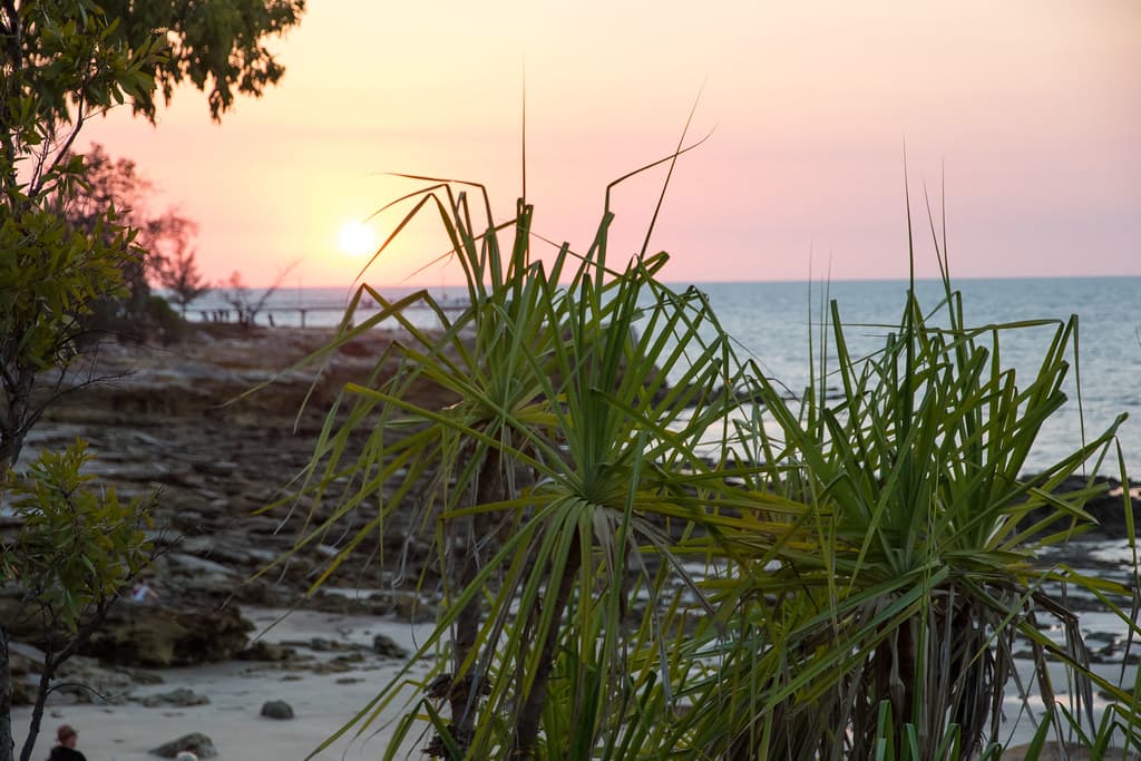 Pandanus Beach view 2
