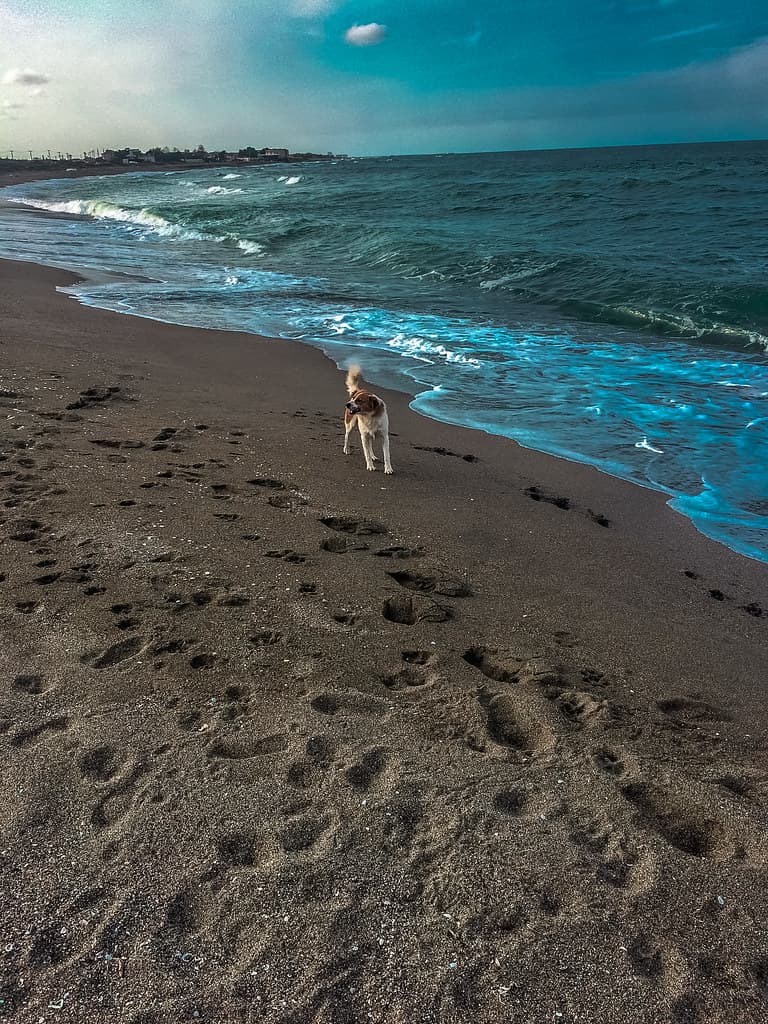 Yenimahalle Beach