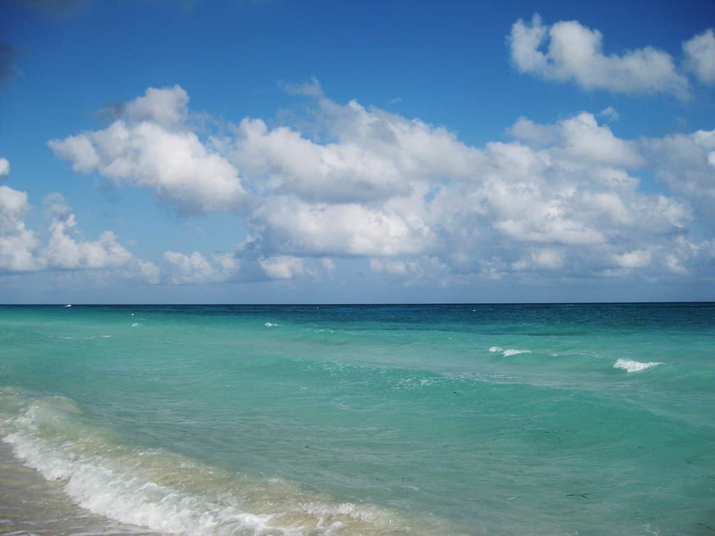 Playa Rincón Francés
