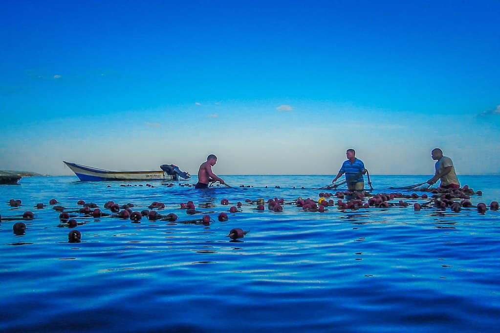 Best beaches in Sri Lanka for a two-week itinerary