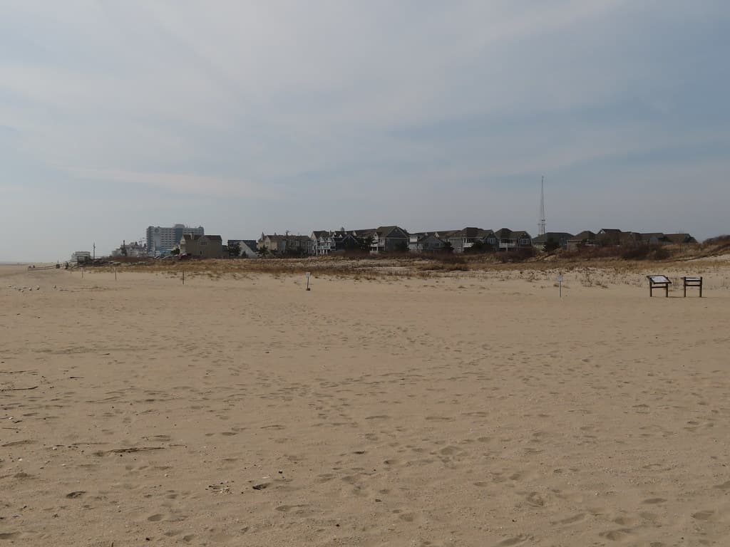 Rutherford Beach view 2