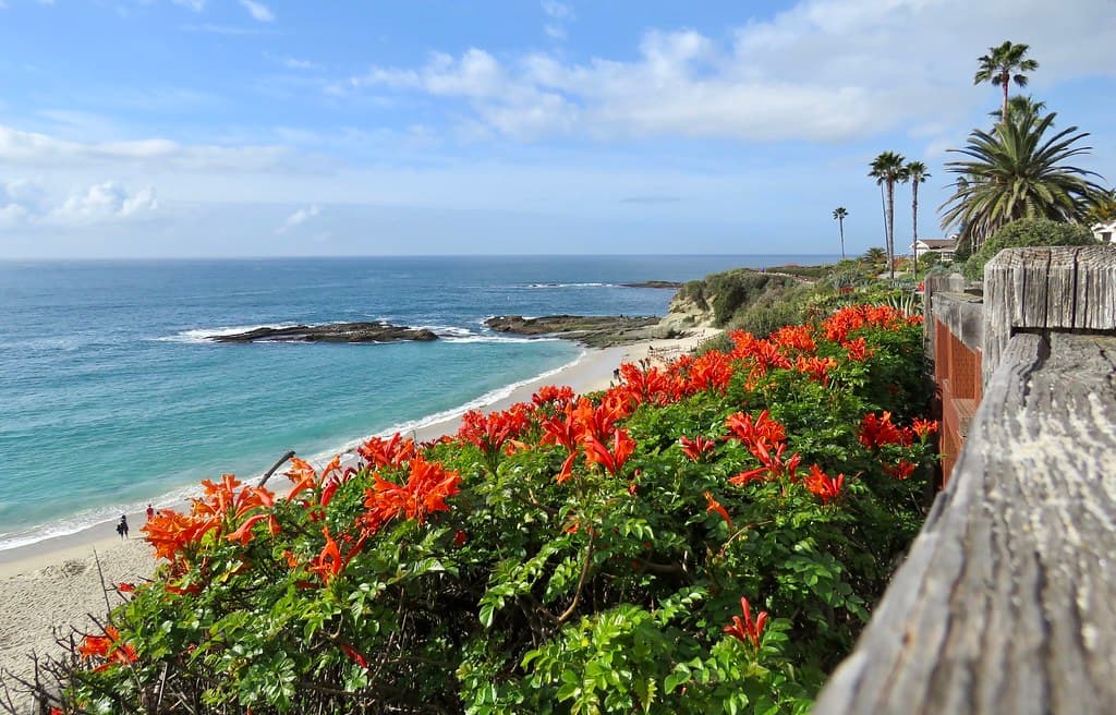 Honeysuckle Beach