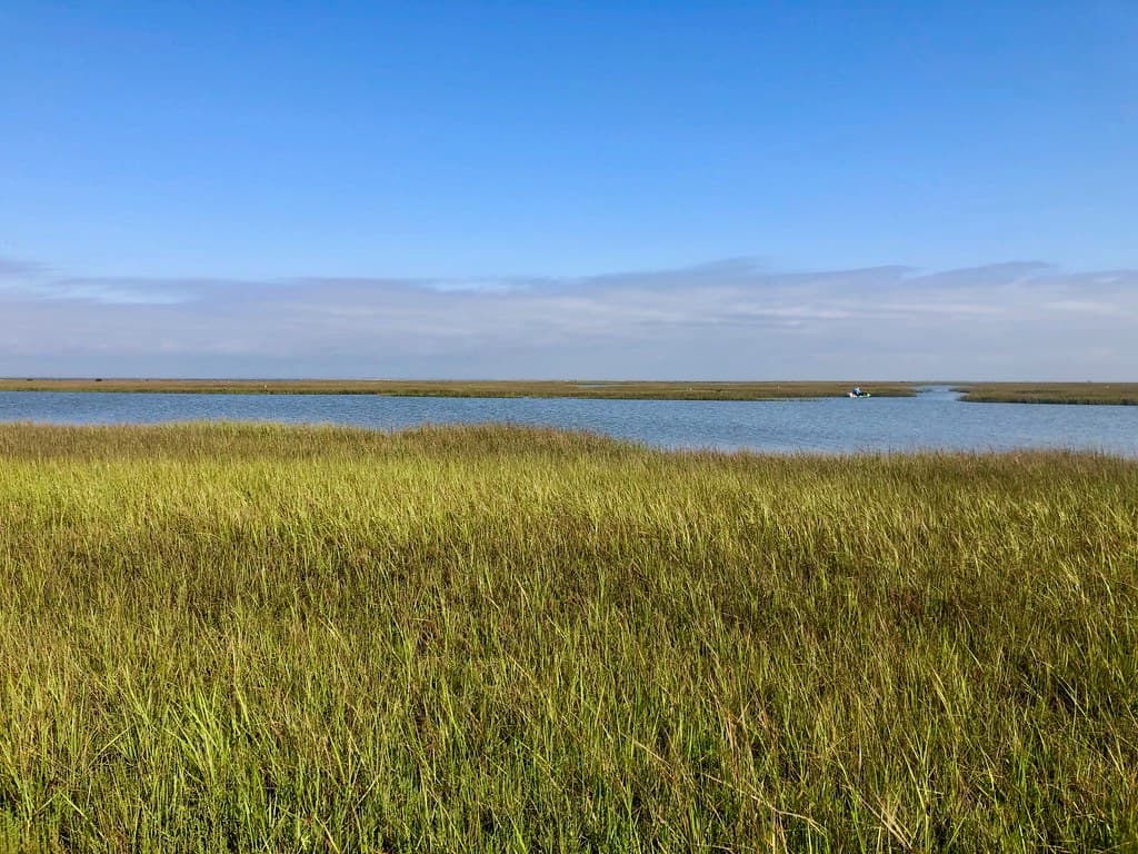 Galveston Island State Park Beach